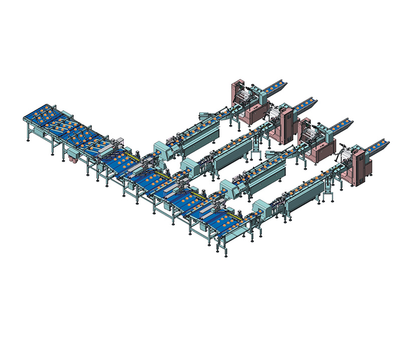 福建分道加上摆混合理料线NH-FS4