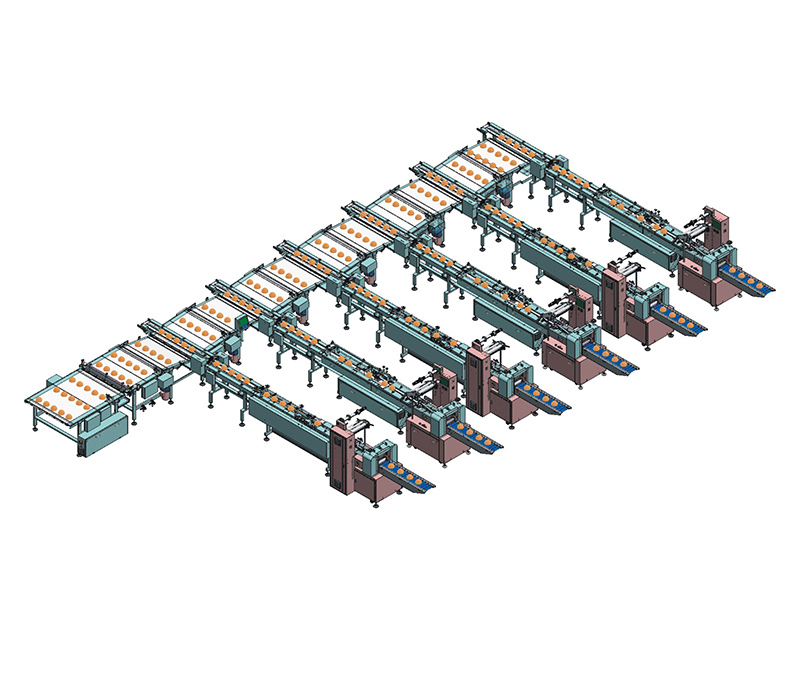 福建一拖六沙琪玛自动理料线NH-S6