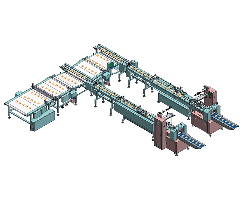 福建一拖二沙琪玛自动理料线NH-S2